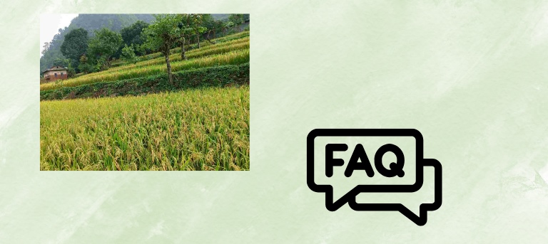 FAQ Palpa